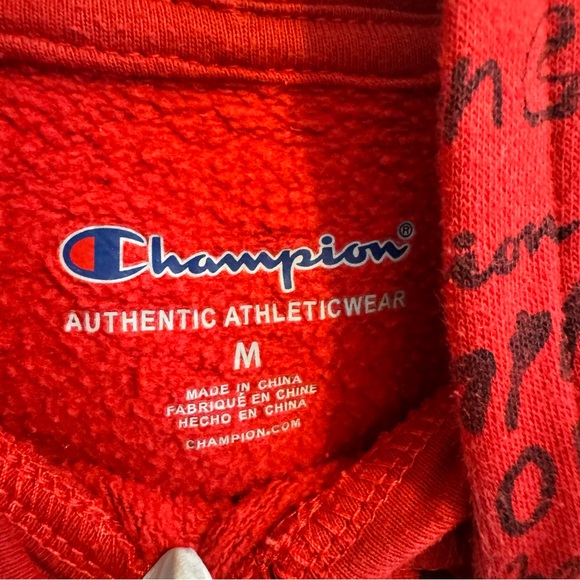 Bundle - Gap and Champion Fleece Hoodie Sweatshirts. Size Youth M / L (1… - Picture 16 of 17